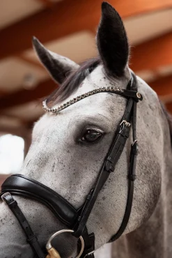 Delémont schmaler Stirnriemen