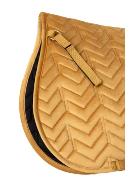 Delémont VS Schabracke