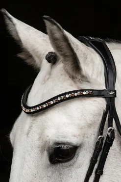 Diamond Select Stirnriemen