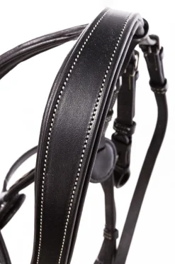 Diandro Mexikanische Trense