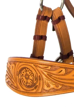 Diego Gebisslose Trense