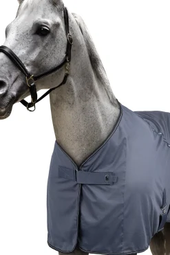 Dorchester Netzdecke