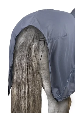 Dorchester Netzdecke