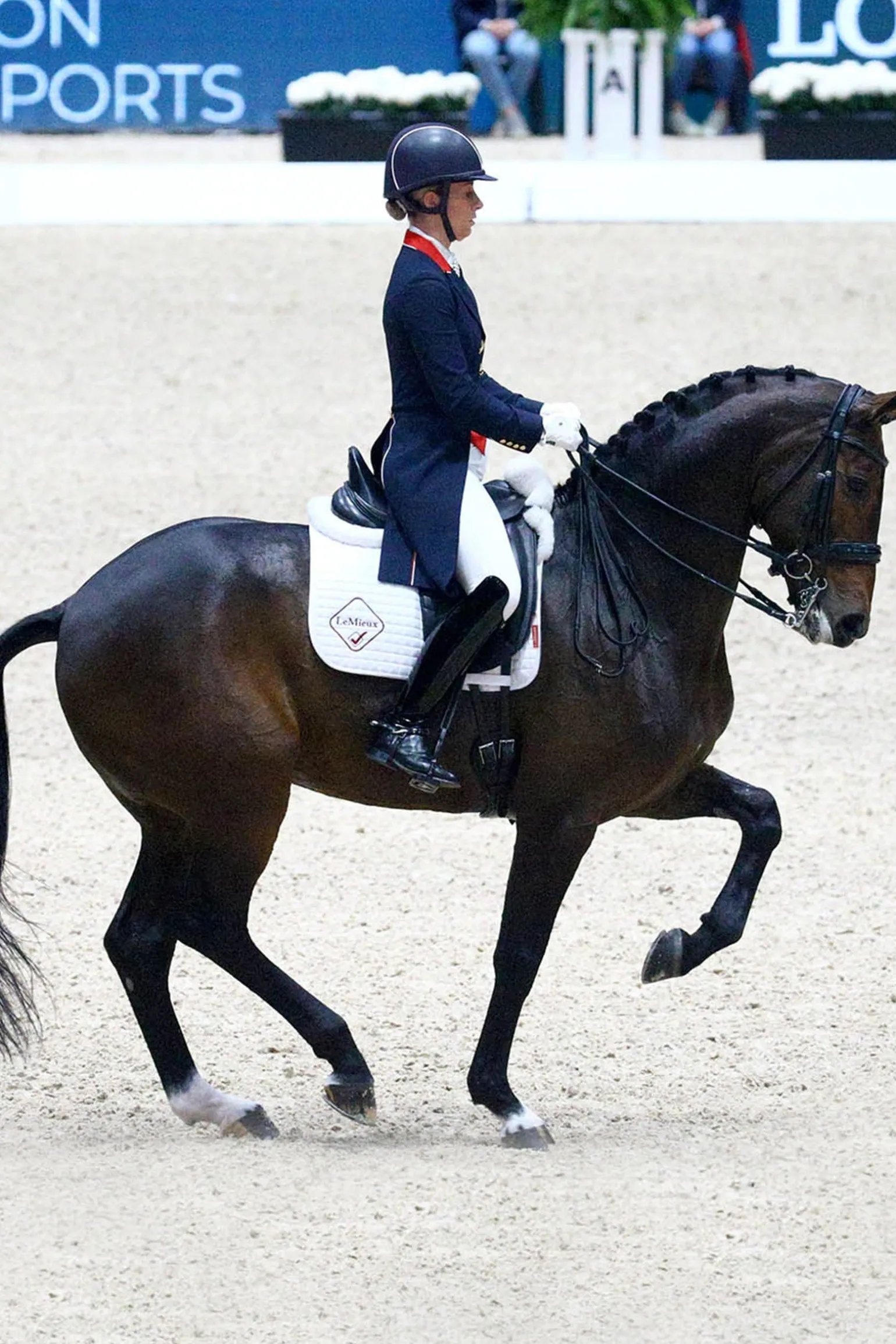 Dressage Competition Square Dressurschabracke