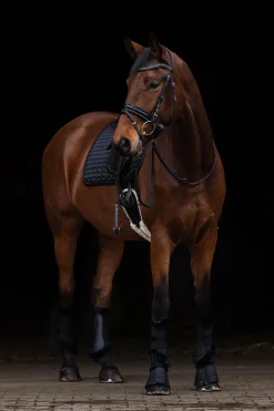 Dressurschabracke mit Glitzerapplikationen