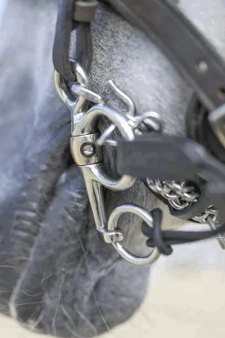 Dynamic RS Pelham, Sensogan, doppelt gebrochen, 16 mm