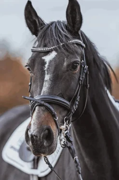 Dynamic RS Pelham, Sensogan, doppelt gebrochen, 16 mm