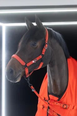 Dynamics AW25 Beta Outdoordecke, 50 g