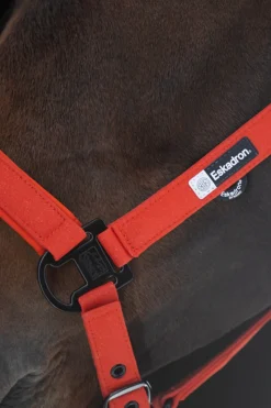 Dynamics AW25 Glitzer-Halfter mit Dornschnalle doppelt