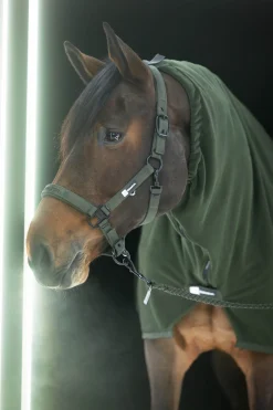 Dynamics AW25 Halfter mit Dornschnalle doppelt