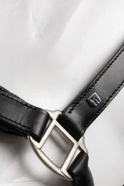 Dynasty Leder Halfter & Führstrick Set