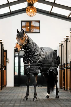 Easy-Layer Plus Stalldecke, 200g