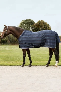 Economic Fliegendecke