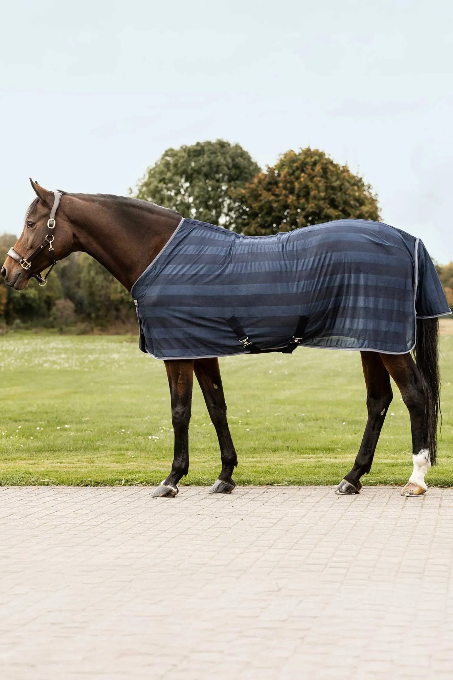 Economic Fliegendecke