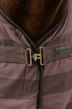 Economic Fliegendecke