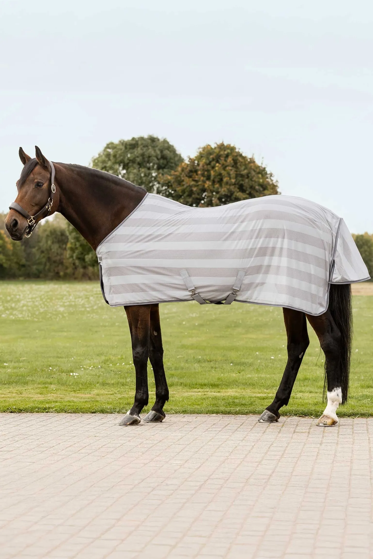 Economic Fliegendecke