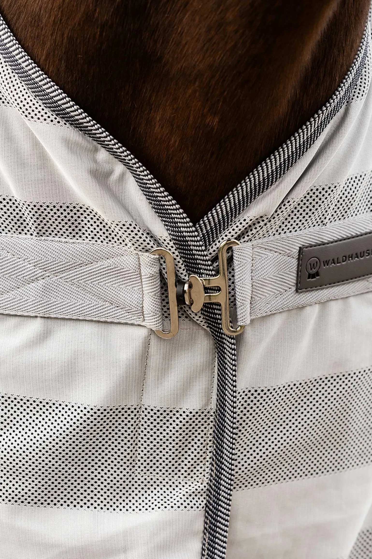 Economic Fliegendecke