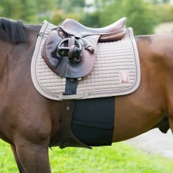 elastischer Sporenschutzgurt