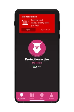 elexxion tocsen Reithelm