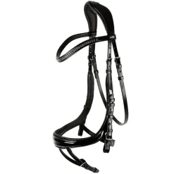 Equitus Beta Bridle
