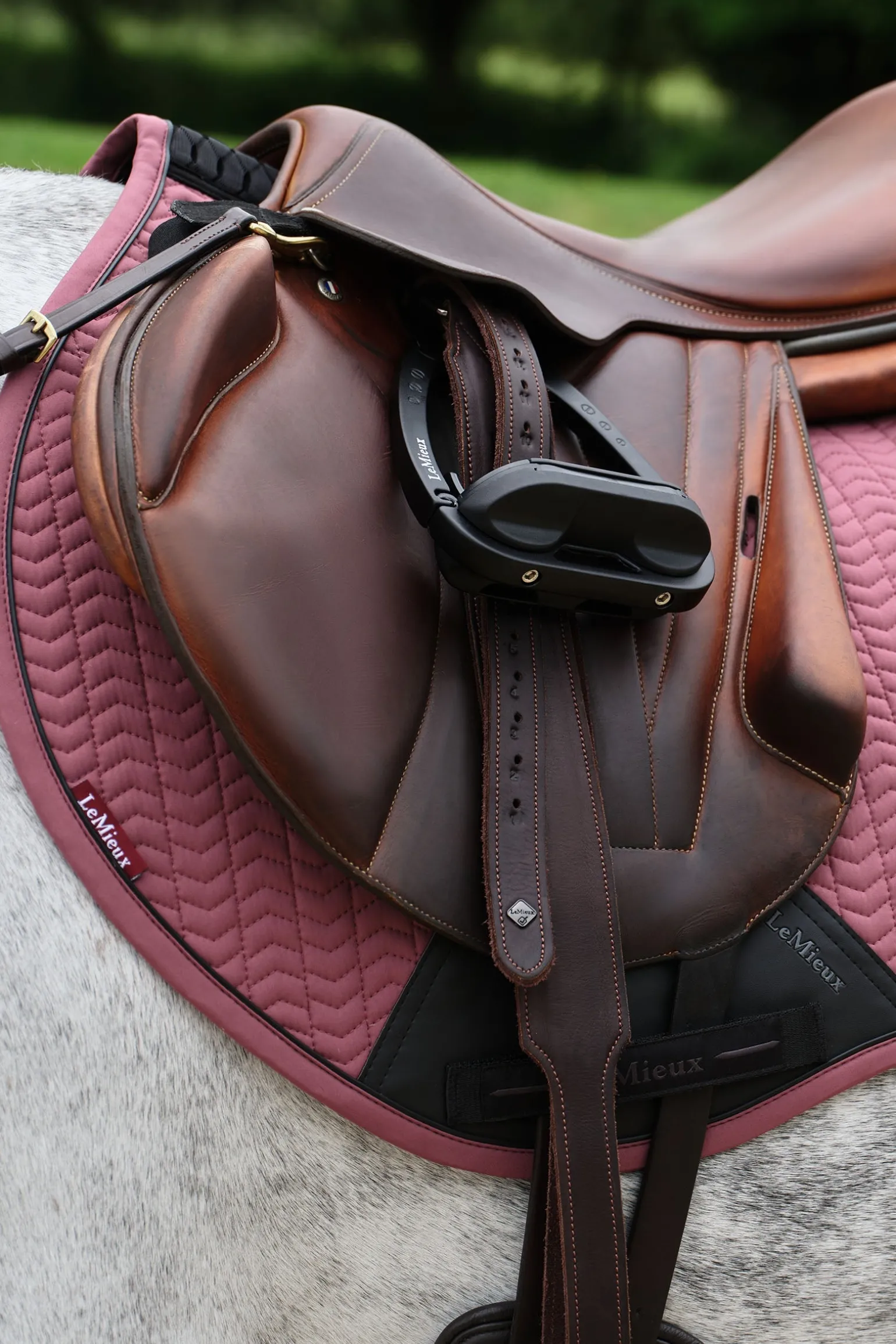 Essence Eurojump Springschabracke