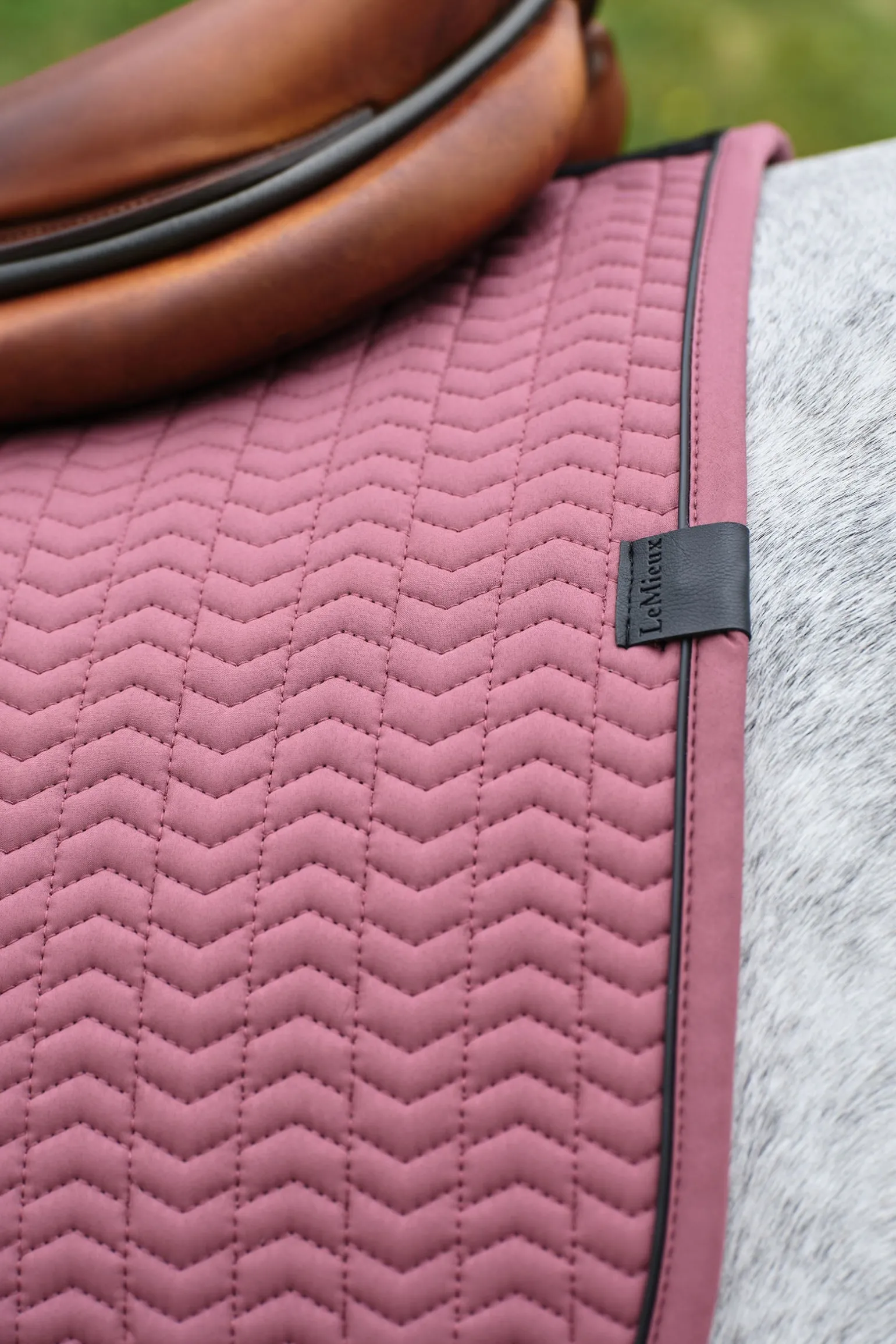 Essence Eurojump Springschabracke