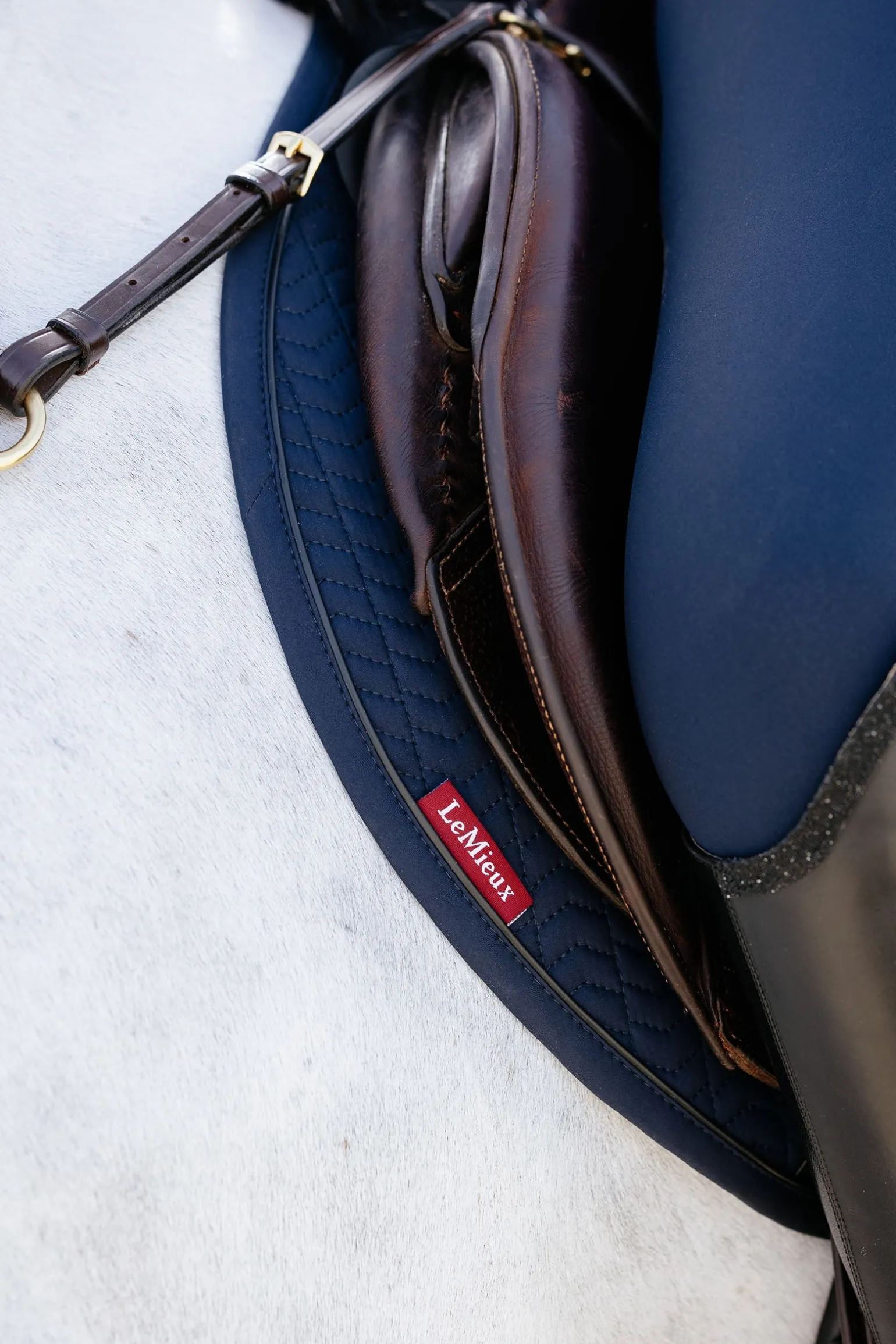 Essence Eurojump Springschabracke