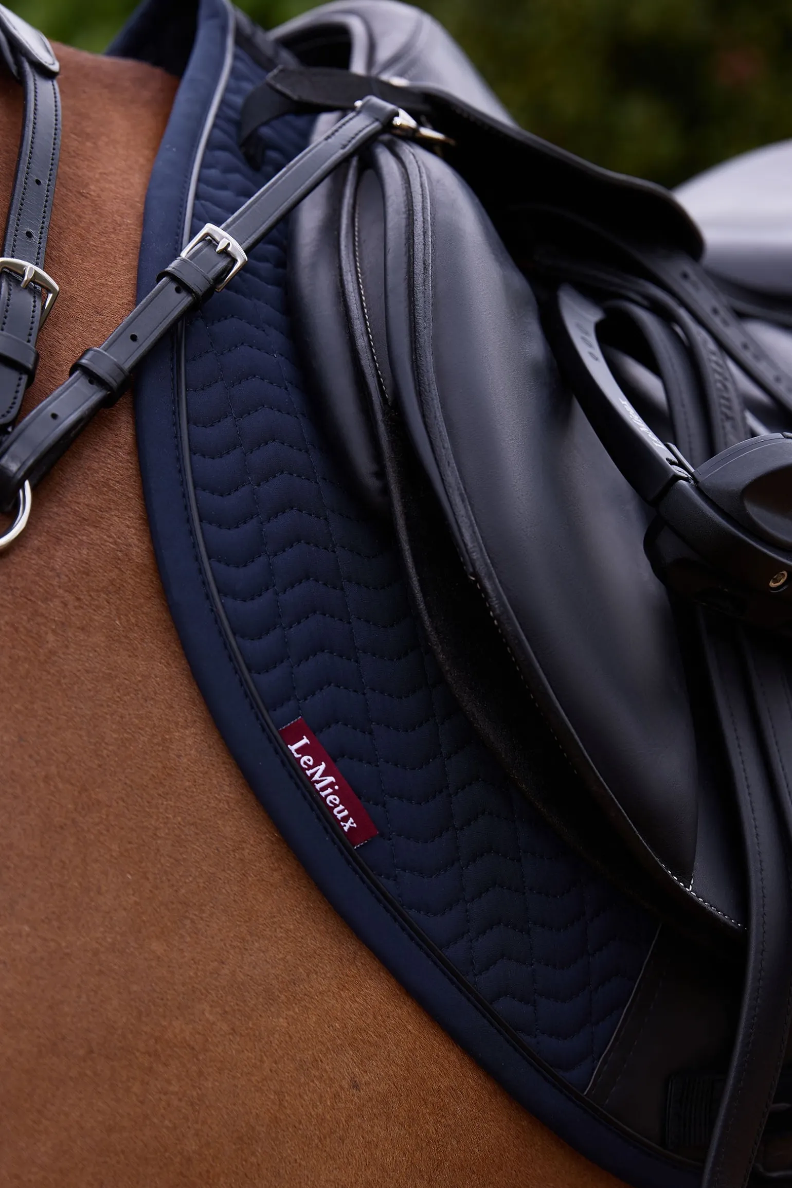 Essence Eurojump Springschabracke