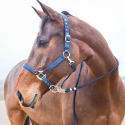 Führstrick, Panikhaken