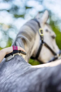 Flexi Reinigungsbürste