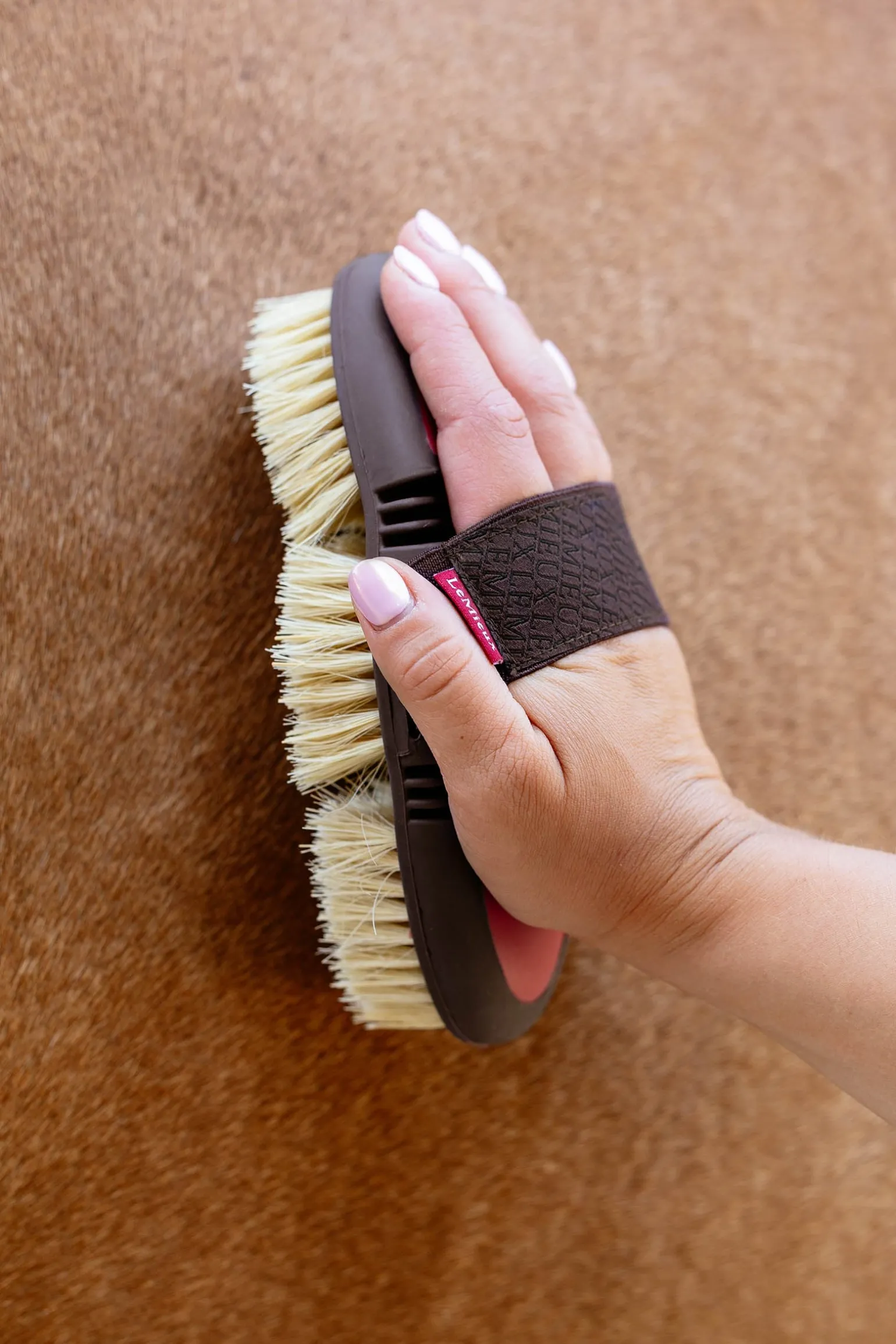 Flexi Scrubbing Brush