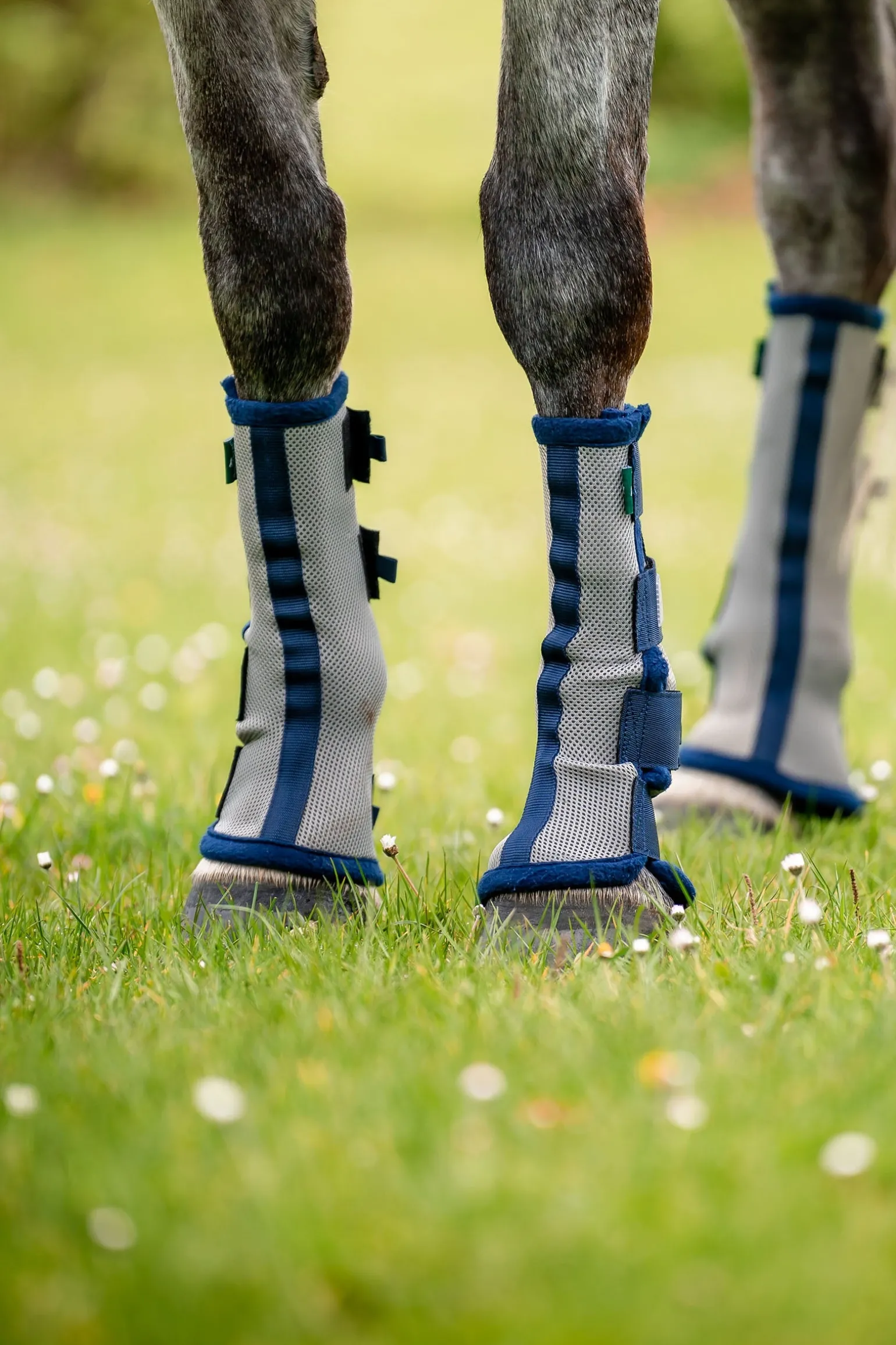 Fly Boots - Set aus 2