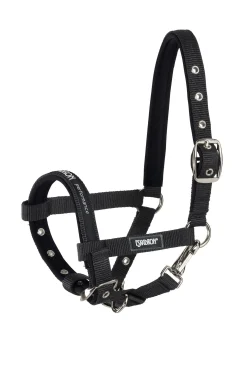 Foal Halter