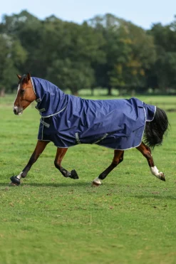 Freedom + Neck 100 g Rug Set