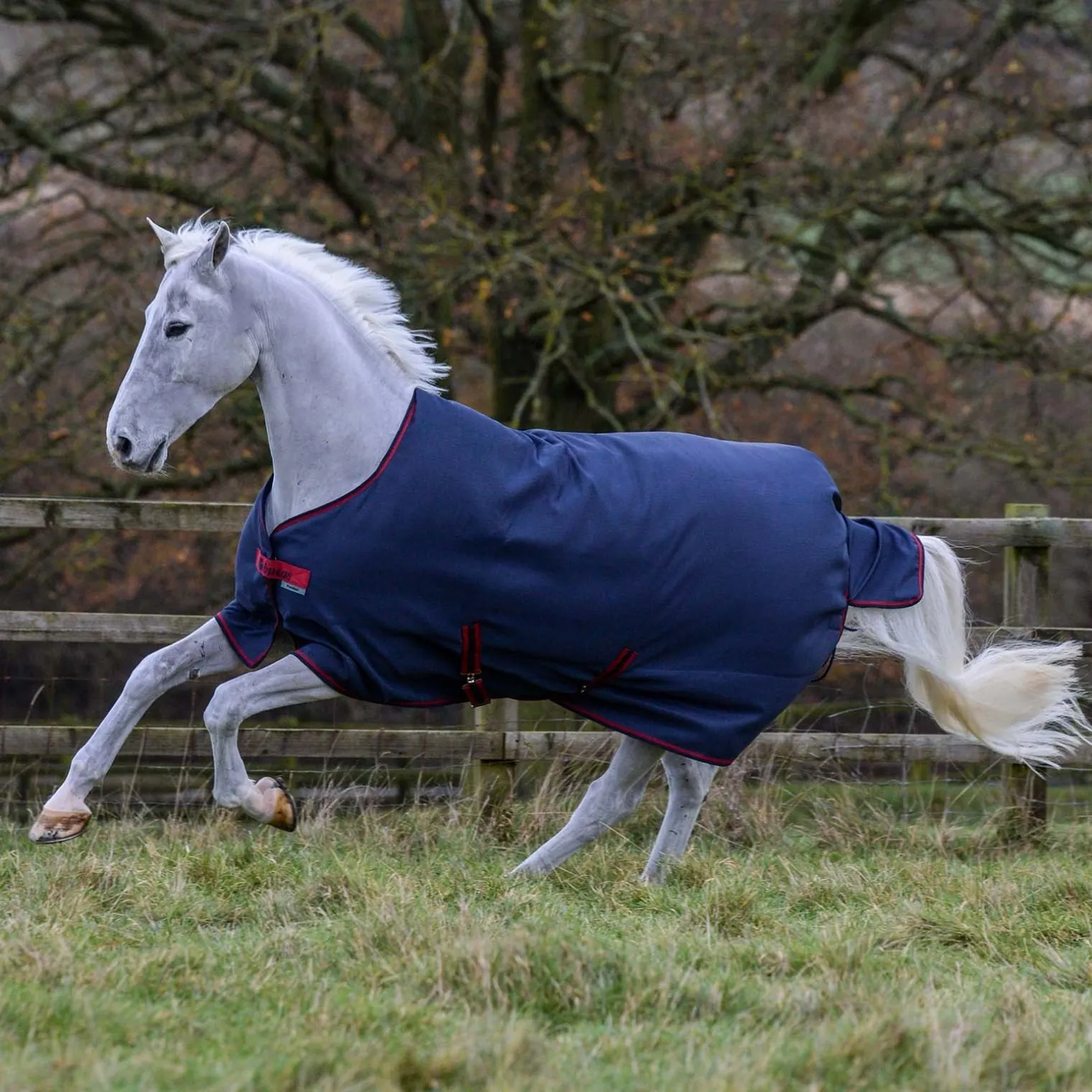 Freedom leichte Weidedecke, 0g