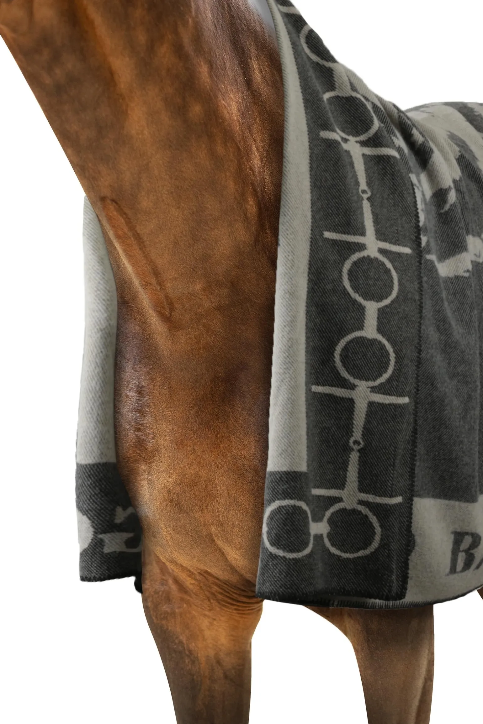 gemusterte Decke mit Pferd & Gebiss