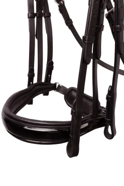 Glamourdale Weymouth Kandare