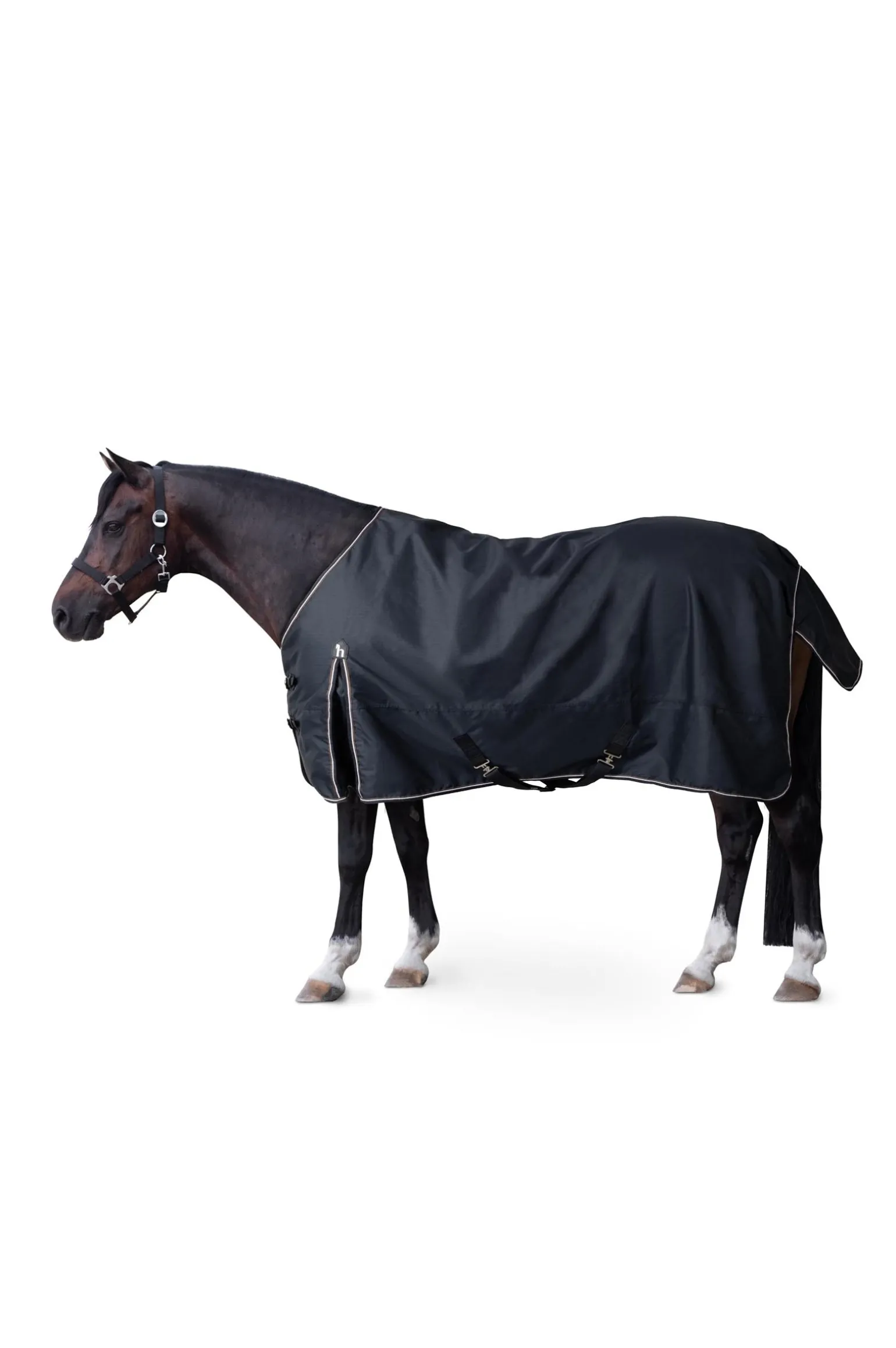 Glasgow Pony Regendecke, 100g