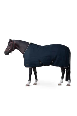 Glasgow Ponys Stalldecke