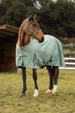 Glasgow Weidedecke mit Fleece-Futter und reflektierenden Akzenten, 0g