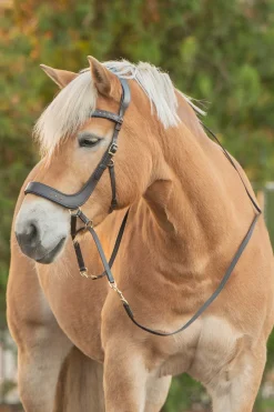 Glory gebisslose Trense mit Zügeln (System 4)