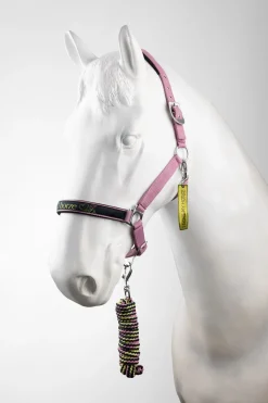 Graffiti Pony Halfter & Führstrick Set