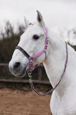 Graffiti Pony Halfter & Führstrick Set