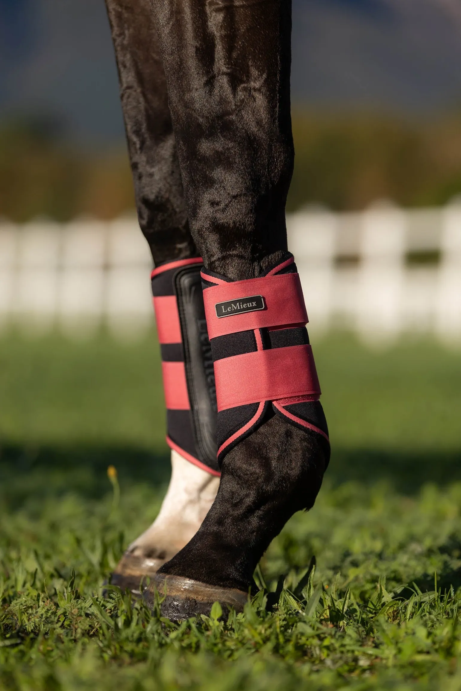 Grafter Dressurgamaschen