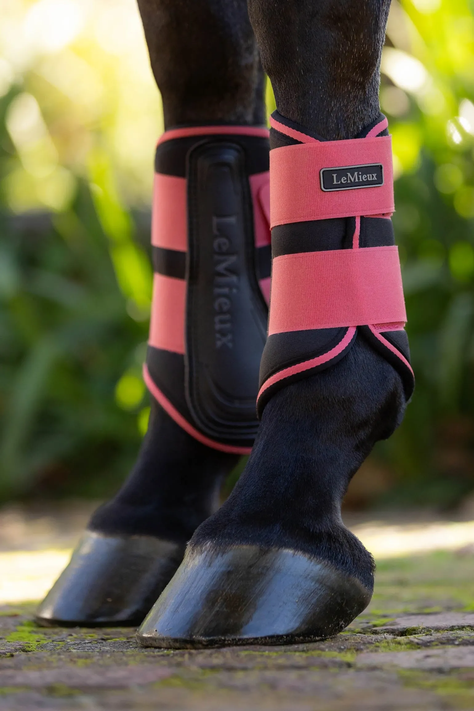 Grafter Dressurgamaschen