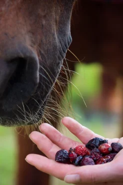 Hagebutten ganze Früchte, 500g