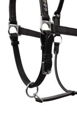 Halfter mit Kristallen