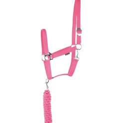 Halfter-Set Einsteiger