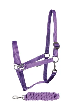 Halfter-Set Einsteiger