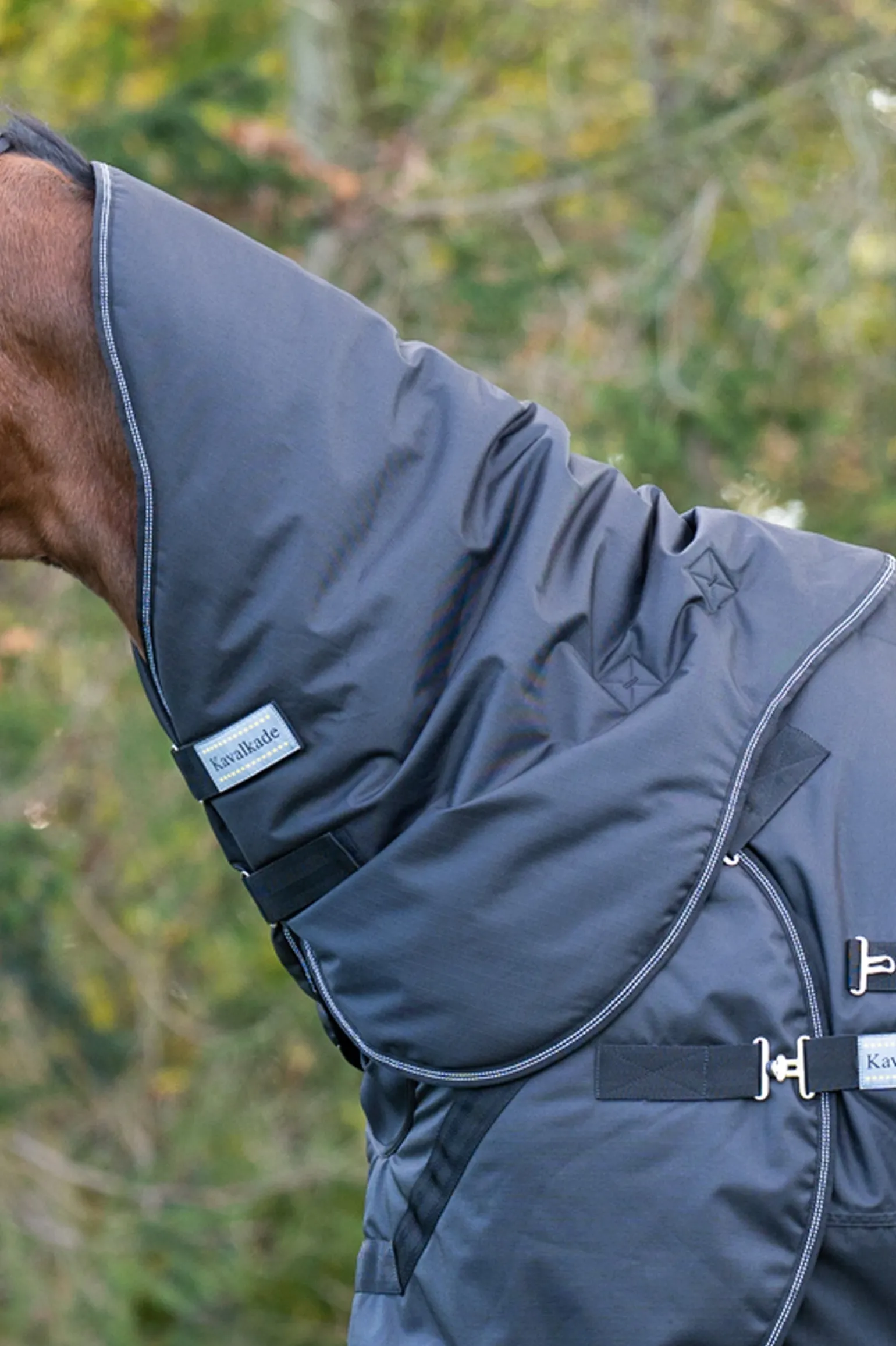 Halifax Halsteil für 2in1 Weidedecke und Führanlagendecke